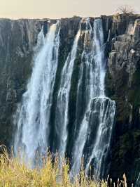 Spring Trip to Victoria Falls🌳