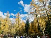  ภูเขา 4 ดรุณี (Siguniangshan, 四姑娘山) 🇨🇳