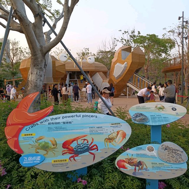 深圳親子遊 - 深圳人才公園