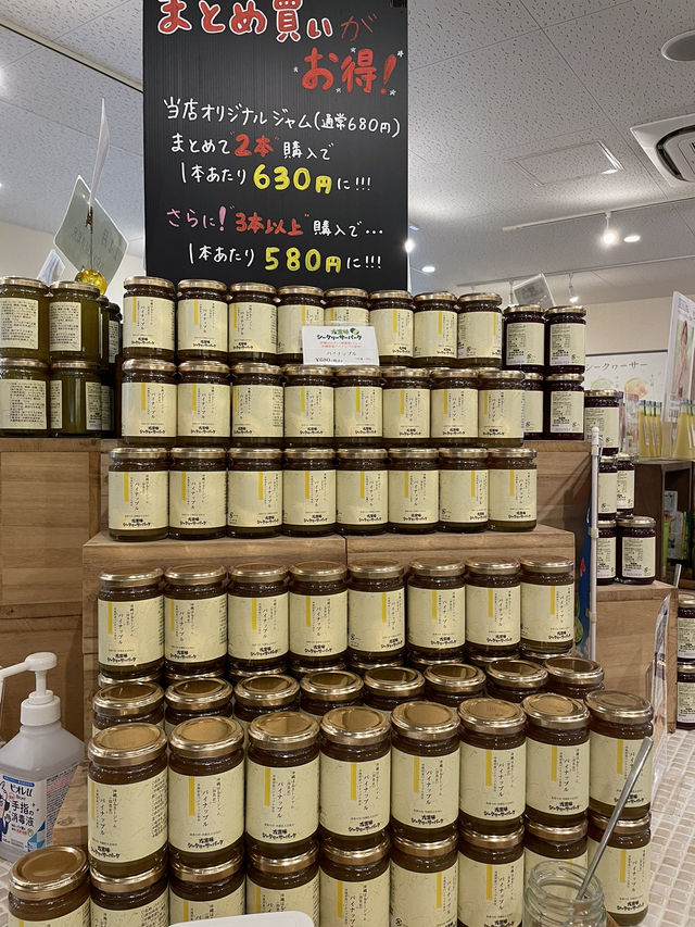 【沖縄】大宜味村 入場無料で楽しめるシークヮーサーパーク