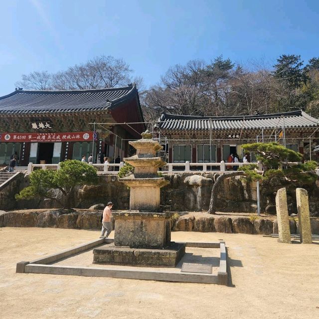 梵鱼寺樱花