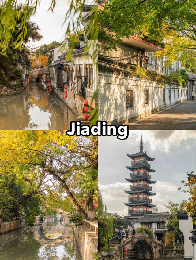 🍂 A Perfect Autumn Day in Jiading: Culture, Colors & Comfort