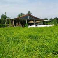 🌾🌾ยุ้งฉาง คาเฟ่ จันทบุรี🌾🌾