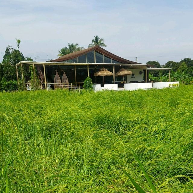 🌾🌾ยุ้งฉาง คาเฟ่ จันทบุรี🌾🌾