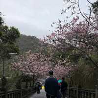 內湖碧山巖