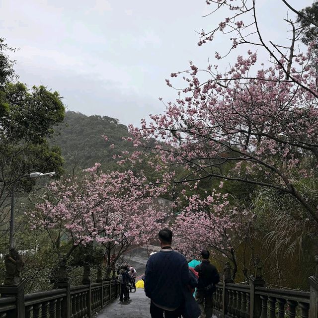 內湖碧山巖