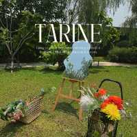 Tarine - Bangkok 
