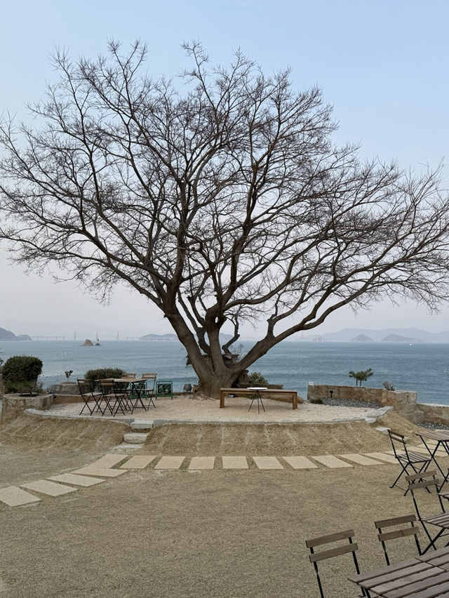매미성만 가면 너무 아쉬워요! 매미카페 어때요? 🌊☕️