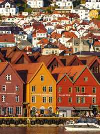 🇳🇴 ノルウェー｜Norway