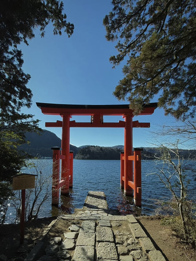 箱根神秘而寧靜🌿矗立水上的鳥居⛩️
