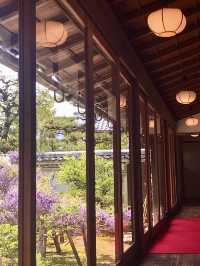 Spring at Myoshin-ji Chokei-in