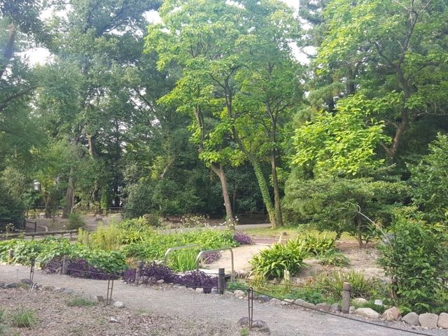 [🇯🇵京都] 緑に包まれる癒しの時間―京都府立植物園で感じる自然の息吹