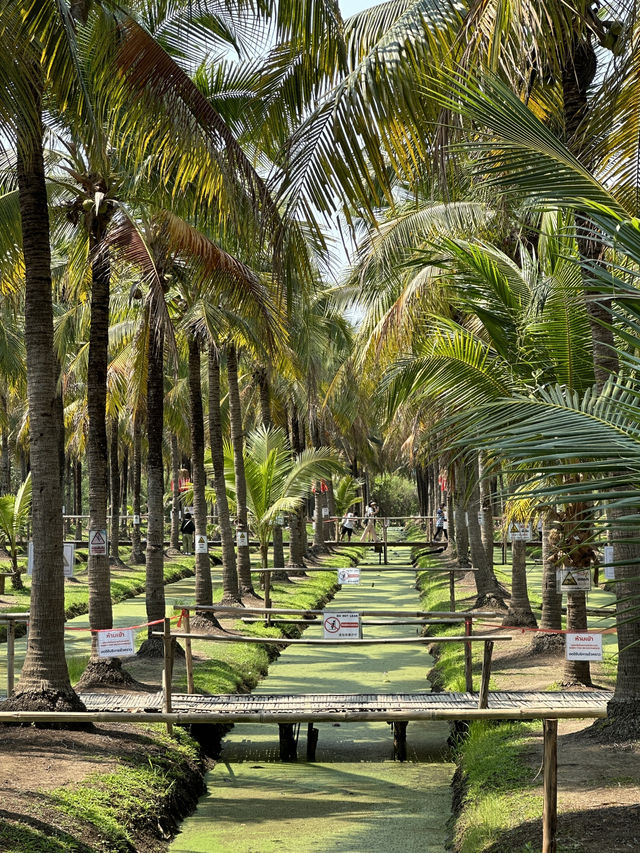 清邁椰林市集🌴