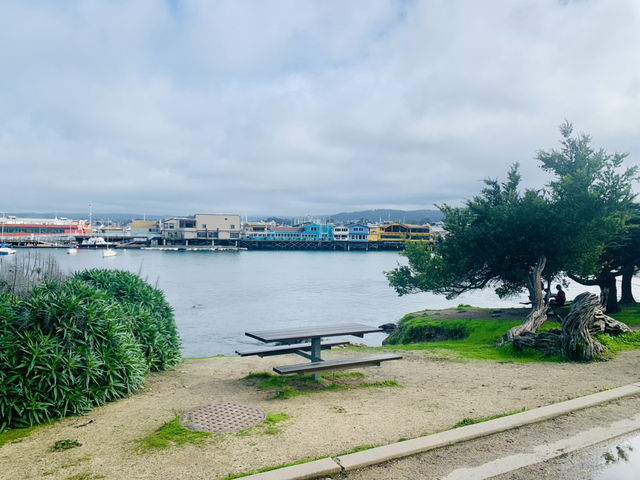 Spring Serenity at Monterey Beach