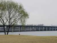 首爾最夢幻夜景！盤浦大橋彩虹噴泉＋漢江公園野餐攻略