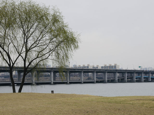 首爾最夢幻夜景！盤浦大橋彩虹噴泉＋漢江公園野餐攻略