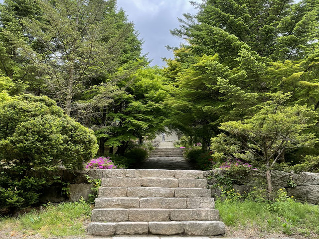 새 나뭇잎들이 나오기 시작할 때