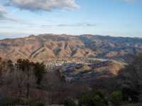 宝登山の頂上の秋