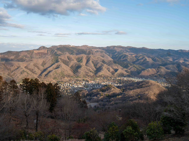 宝登山の頂上の秋