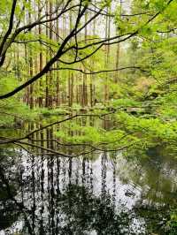 Hupao Park– Where Legendary Springs Meet Zen Serenity