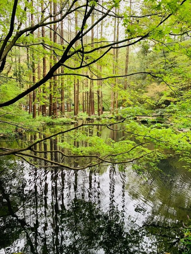 Hupao Park– Where Legendary Springs Meet Zen Serenity