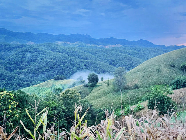 เที่ยวถนนร้องกวาง (แพร่) 🛣️🌳