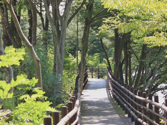 🌿 구례 천은사, 지리산 품에 안긴 고요한 쉼터