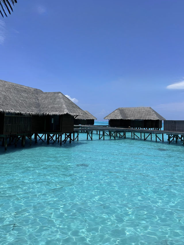 Barefoot Luxury in Paradise at Conrad Maldives Rangali Island