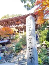姬路城周邊必去秘境，書寫山圓教寺的森林修行時光。