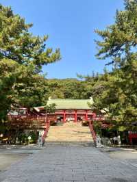 【山口県下関市🇯🇵赤間神宮】竜宮城をイメージした神社⛩️