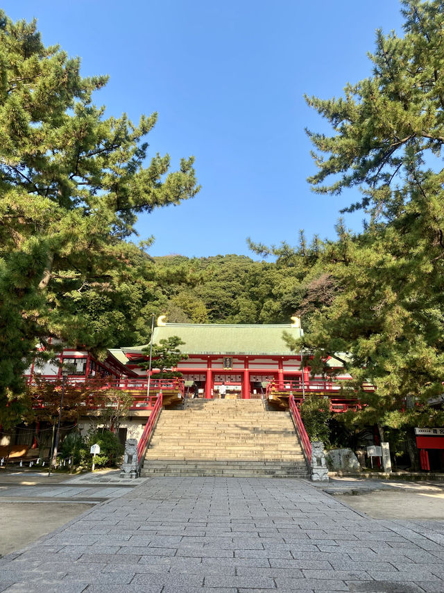 【山口県下関市🇯🇵赤間神宮】竜宮城をイメージした神社⛩️