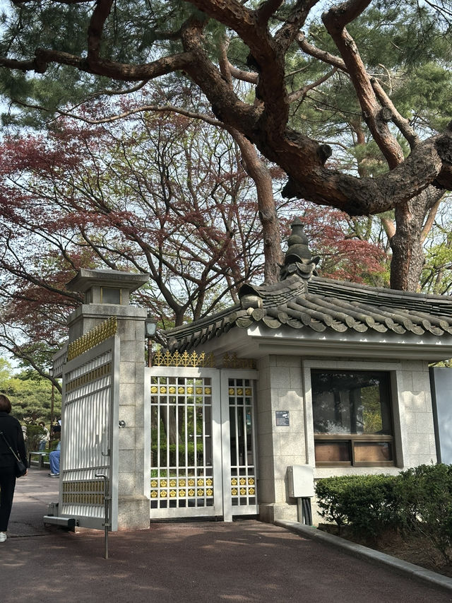 청와대