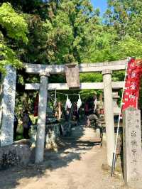 A Spring Drive to the Magical Izuruhara Benten Pond