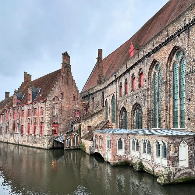 🚣♀️ Bruges: Where Canals Sparkle, Chocolate Rules & I Almost Became a Swan’s Snack 🦢