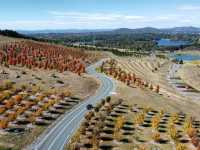 Discover the Enchanting National Arboretum Canberra! 