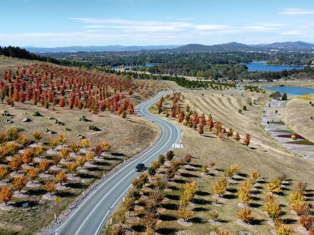 Discover the Enchanting National Arboretum Canberra! 