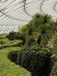 A Fun Challenge: Hedge Maze at Jewel Changi Airport 