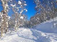 北海道旅遊🥳喜茂別路線雪場❄️自駕動力雪橇體驗分享😍欣賞羊蹄山沿途雪景🗻