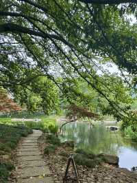 Snapdragons & Serenity: Spring Stroll in Taiziwan Park