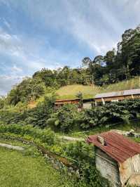 Secret Garden Escape: 🌿 Lavender Farm @ Genting Hidden Gem!