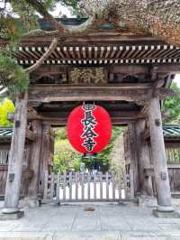 kamakura