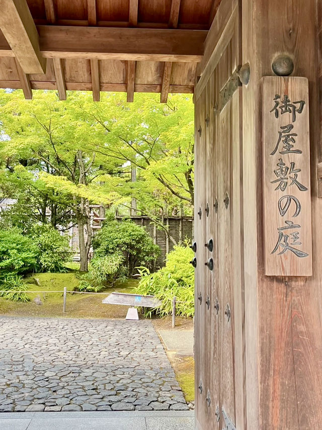 Spring Serenity at Koko-en Garden