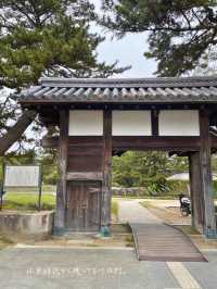 江戸時代から残る櫓門など、歴史感じる土浦城🏯