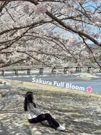 พิกัดมุมถ่ายรูปสะพาน Togetsukyō แบบปังๆ 🌸
