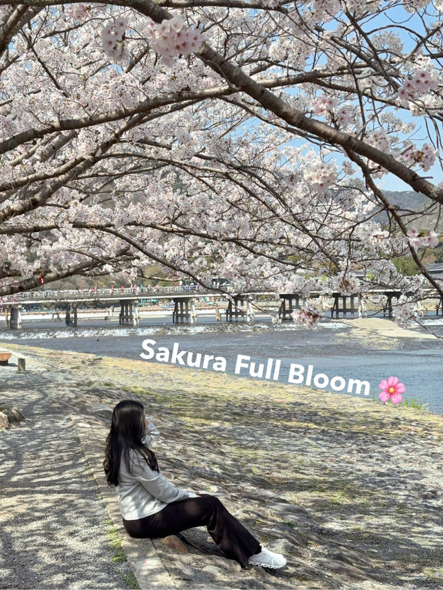 พิกัดมุมถ่ายรูปสะพาน Togetsukyō แบบปังๆ 🌸