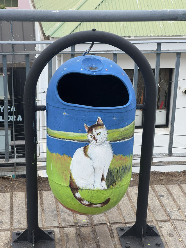 智利Valparaiso 一日遊