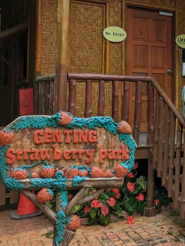🍓 A Sweet Retreat at Genting Strawberry Leisure Farm!