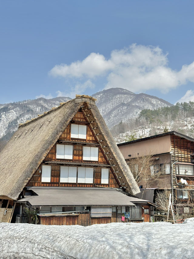 🇯🇵 白川鄉一定要上展望台和近距離拍小屋🏡 ❄️