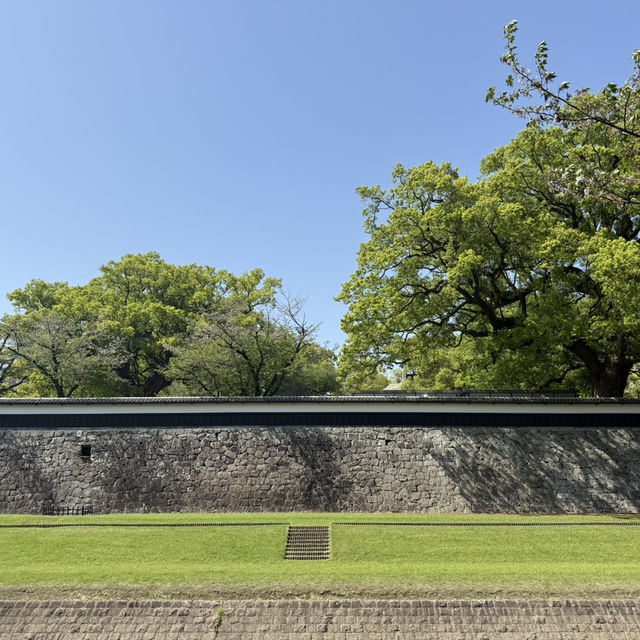 kumamoto castle ปราสาทโบราณที่ต้องแวะ