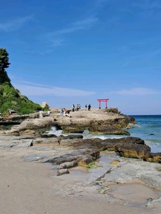 【Shizuoka】The Stunning Shirahama Shrine with Izu's Ocean and Red Torii Gate
